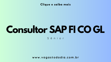 sap fi